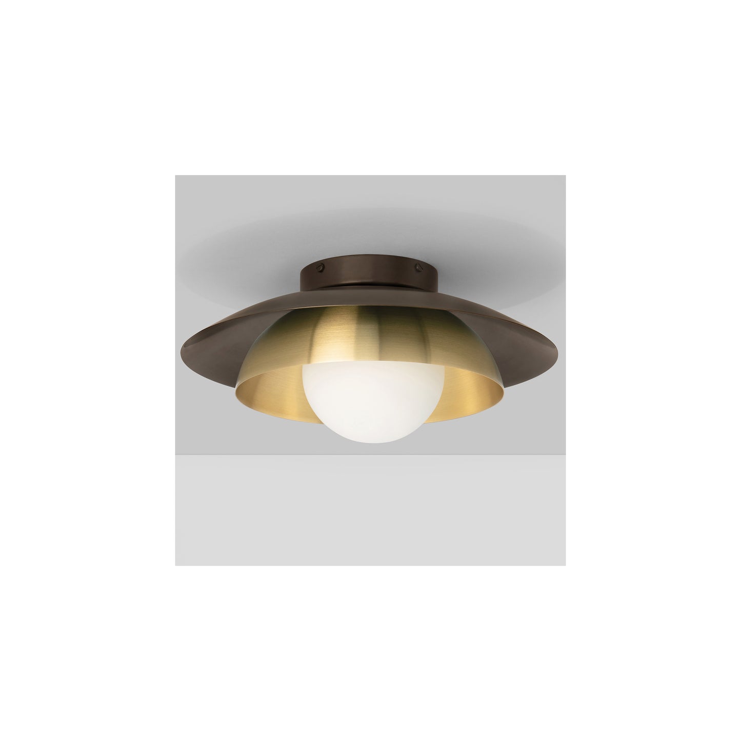 Carapace Ceiling/Wall Light