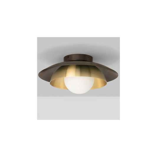 Carapace Ceiling/Wall Light