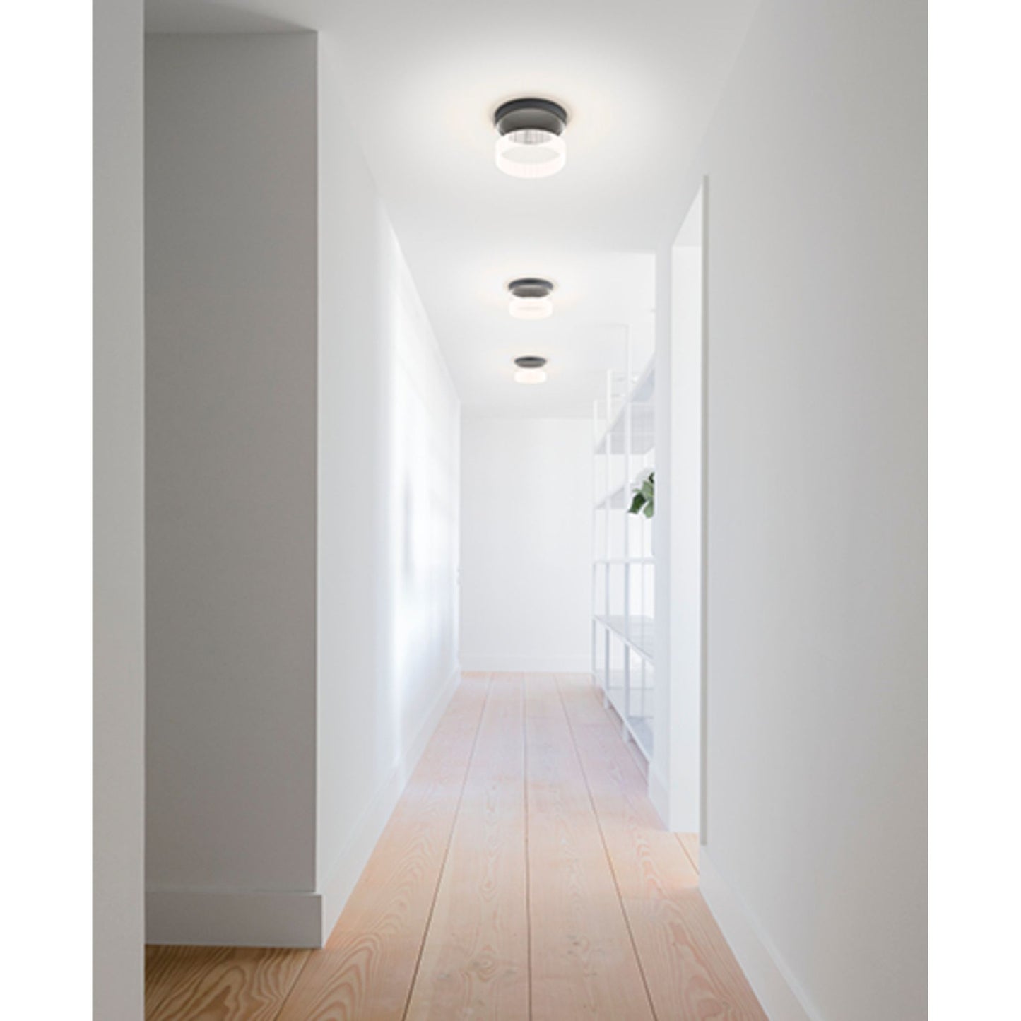 Guise LED Ceiling Light with Borosilicate Glass