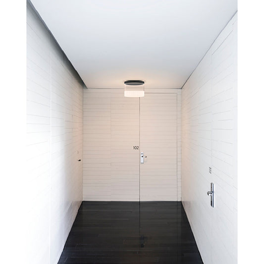 Guise LED Ceiling Light with Borosilicate Glass