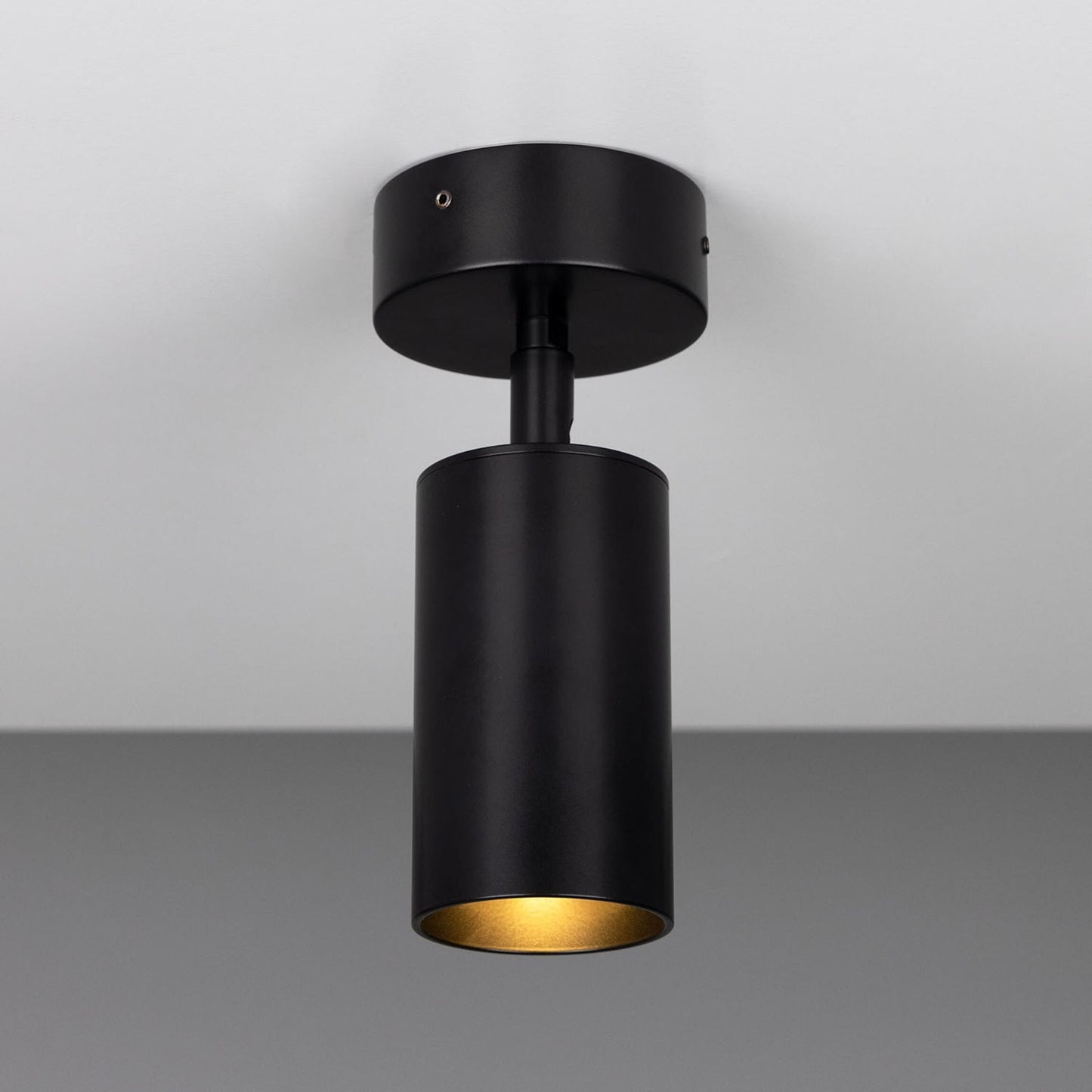 Evanston Directional Brass Ceiling Spot Light