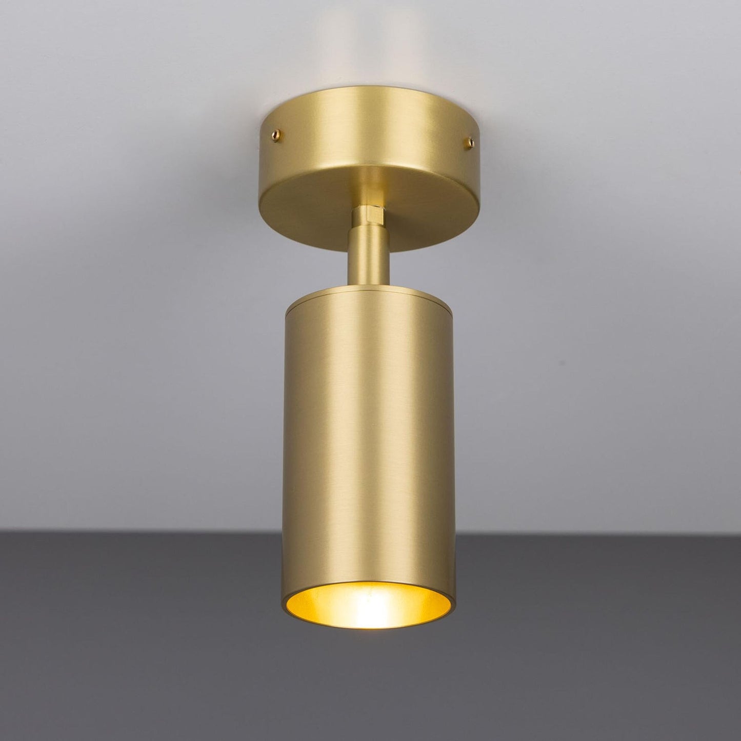 Evanston Directional Brass Ceiling Spot Light