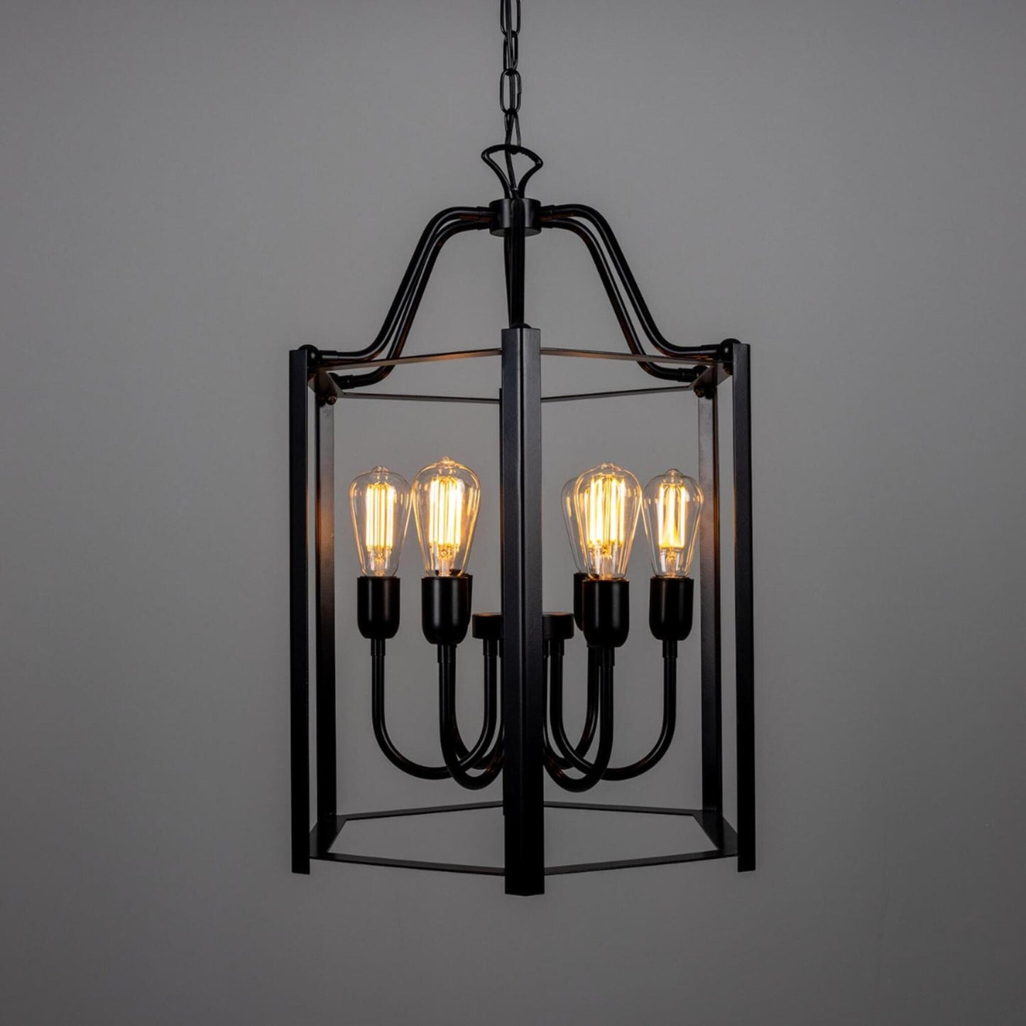 Portroe 6-Light Indoor Hanging Lantern